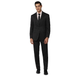 Peter England Men Business Suit Pants Set